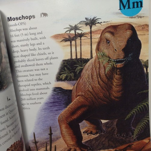 Dinosaur Dictionary: An A to Z of Dinosaurs and Prehistori... by rupert-matthews
