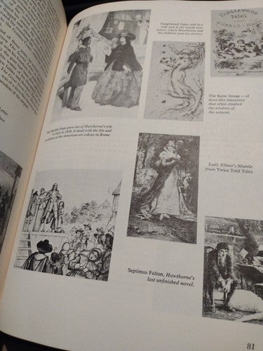 Our Literary Heritage : A Pictorial History of the Writer in America 2nd edition
