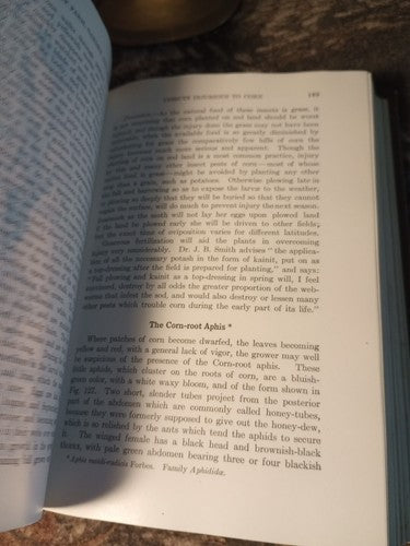 Rare Insect Pests Of Farm, Garden, And Orchard By Sanderson And Peairs 1921