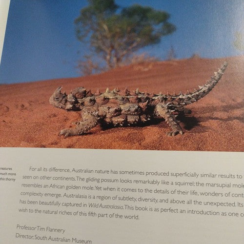 Wild Australasia by Mary Summerill & Neil Nightengale -2003 Hardcover