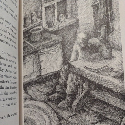 The Half-a-Moon Inn by Paul Fleischman (1980, Hardcover)