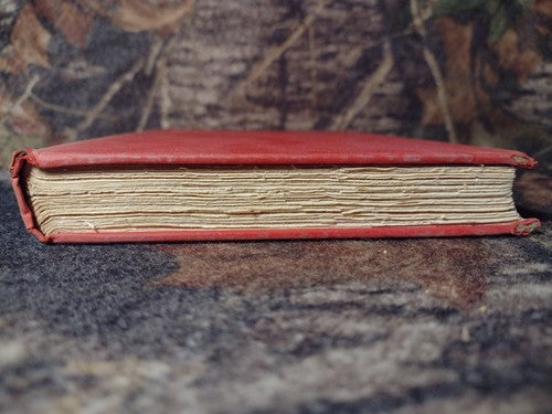 Nineteenth Century Studies: Coleridge to Matthew Arnold by Basil Willey 1949 HC