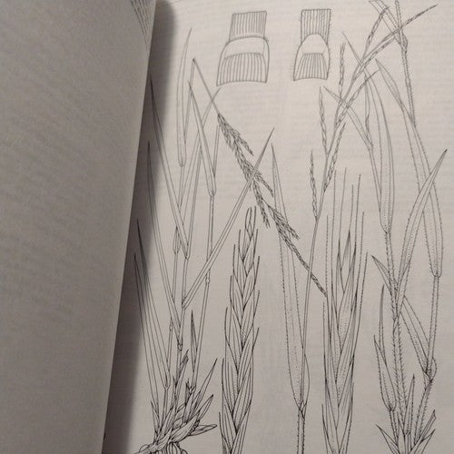 Royal Horticultural Society: Manual of Grasses by Mark Griffiths 1994 Hardcover