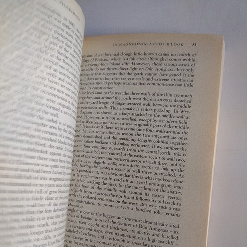 Stones of Aran : Pilgrimage by Tim Robinson (1991, UK-B Format Paperback)