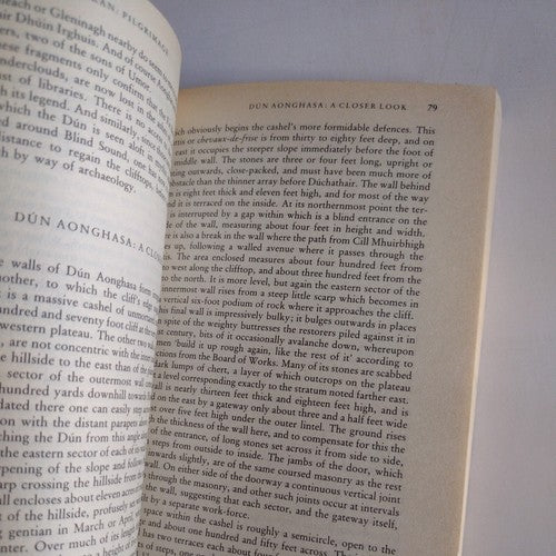 Stones of Aran : Pilgrimage by Tim Robinson (1991, UK-B Format Paperback)