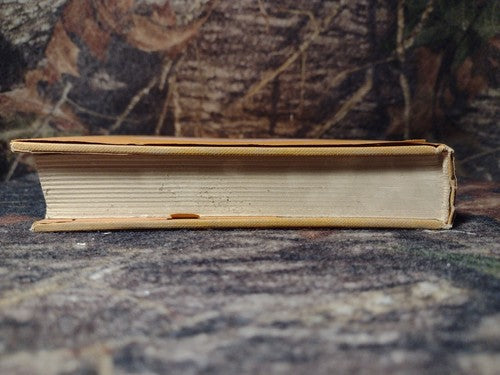 THE POETRY OF THE FAERIE QUEENE by Paul J. Alpers -1969 Hardcover Vintage Poetry