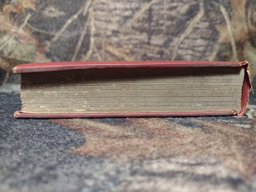 Great Englishmen of the Sixteenth Century by Sydney Lee -1904 -Vintage Hardcover
