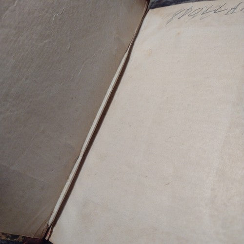 De Trop by Zenaide Fleuriot Leather Hardcover  1888 French antique satire