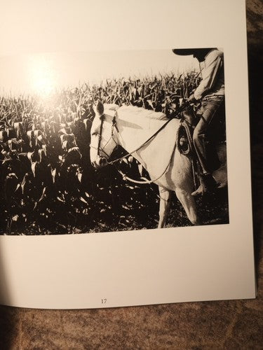 In This Land By M.Black, Others Migrant History Merced County Central Valley