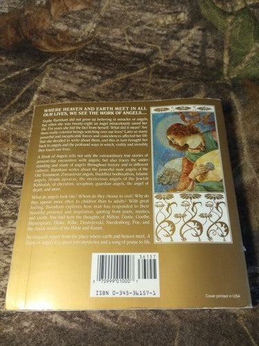 A Book of Angels : Reflections on Angels Past and Present and True Stories of...