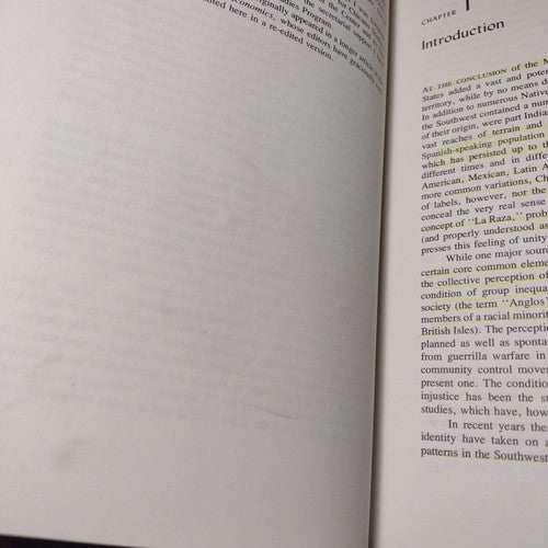Race and Class in the Southwest: A Theory of Racial Inequality by Mario Barrera