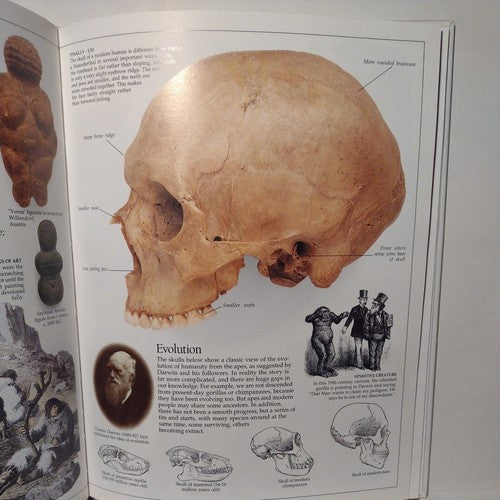 Eyewitness Books: Early Humans by Nick Merriman, 1989 1st American Ed. Hardcover