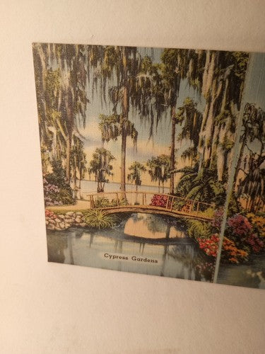 Cyprus Garden Florida Tourist Card Vintage 5.5 X 3.5