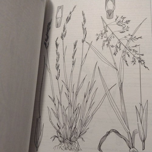 Royal Horticultural Society: Manual of Grasses by Mark Griffiths 1994 Hardcover