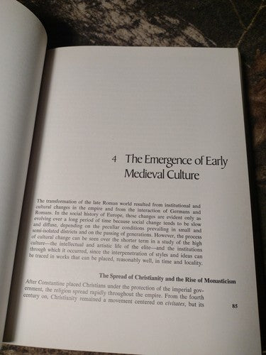 Europe in the Middle Ages: Third Edition by Robert S. Hoyt -1976 -Hardcover