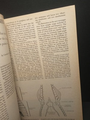 1991 Scientific American How Dinosaurs Ran and Other Scientific Insights Book