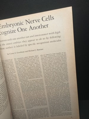 1991 Scientific American How Dinosaurs Ran and Other Scientific Insights Book
