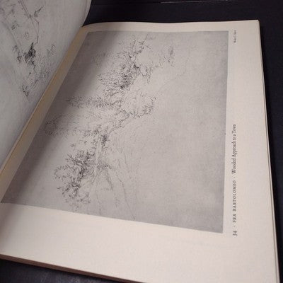 Drawings From New York Collections: The Italian Renaissance by Jacob Bean, Vol 1