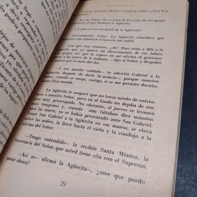 El Viaje De La Familia Hueco Por Fernando Duran Ayanegui - 1988 Paperback