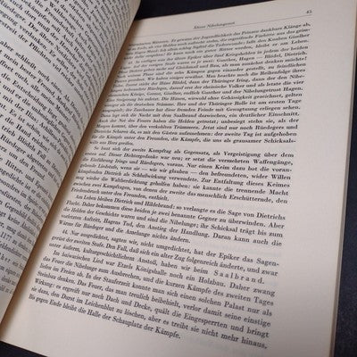 Nibelungensage Und Nibelungenlied, Andreas Heusler -German Paperback 1955