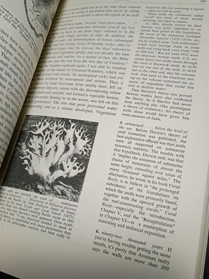 Twenty Thousand Leagues under the Sea by Walter J. Miller and Jules Vern (1977,