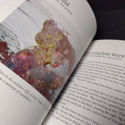 Bricolage Literary & Visual Arts Journal Issue #32 - 2014 Paperback