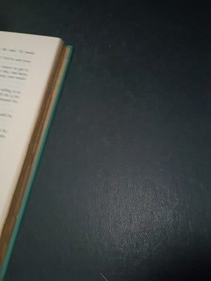 The Little People John Christopher 1966 1st Edition Printing Hard Cover No DJ