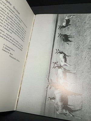 1962 Rowland Ward's Records of Big Game Africa Illustrated