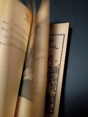 Rubaiyat of Omar Khayyam, Edward Fitzgerald Translation Avon/Bard pb 1965 Illust