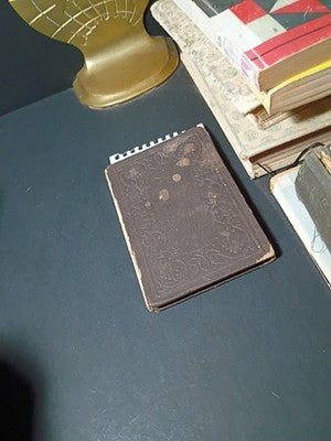 Frances Trego Montgomery / Billy Whiskers Tourist First Edition 1929