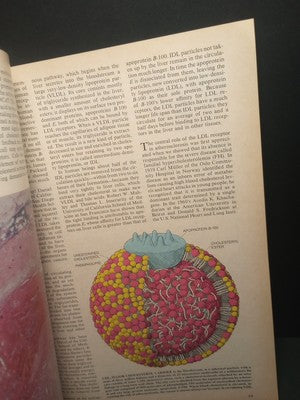 1991 Scientific American How Dinosaurs Ran and Other Scientific Insights Book