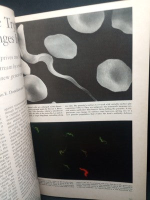 1991 Scientific American How Dinosaurs Ran and Other Scientific Insights Book