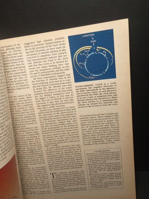 1991 Scientific American How Dinosaurs Ran and Other Scientific Insights Book