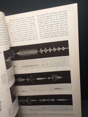 1991 Scientific American How Dinosaurs Ran and Other Scientific Insights Book