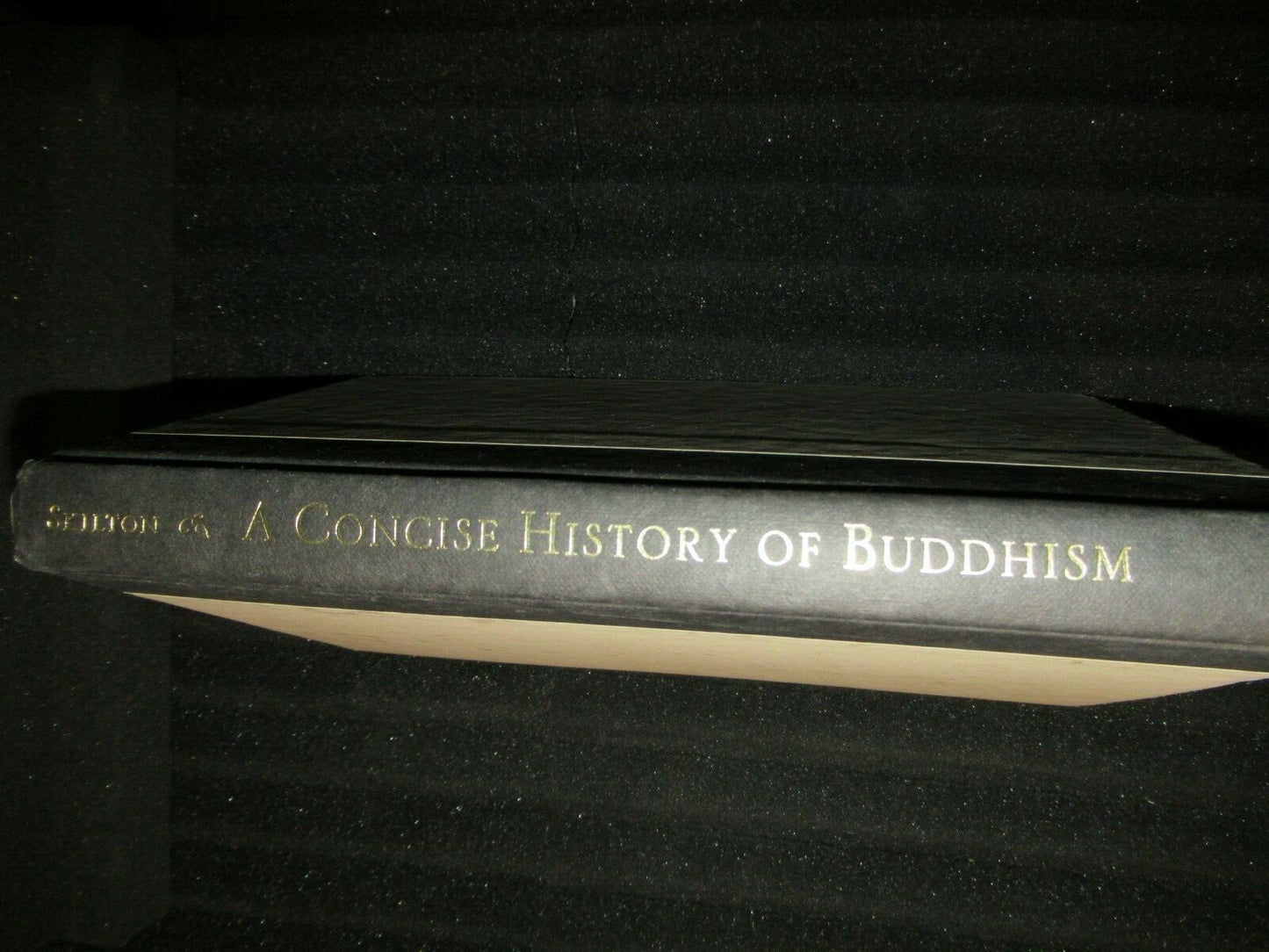 A CONCISE HISTORY OF BUDDHISM by Andrew Skilton -1994 Hardcover -Religious Hist.