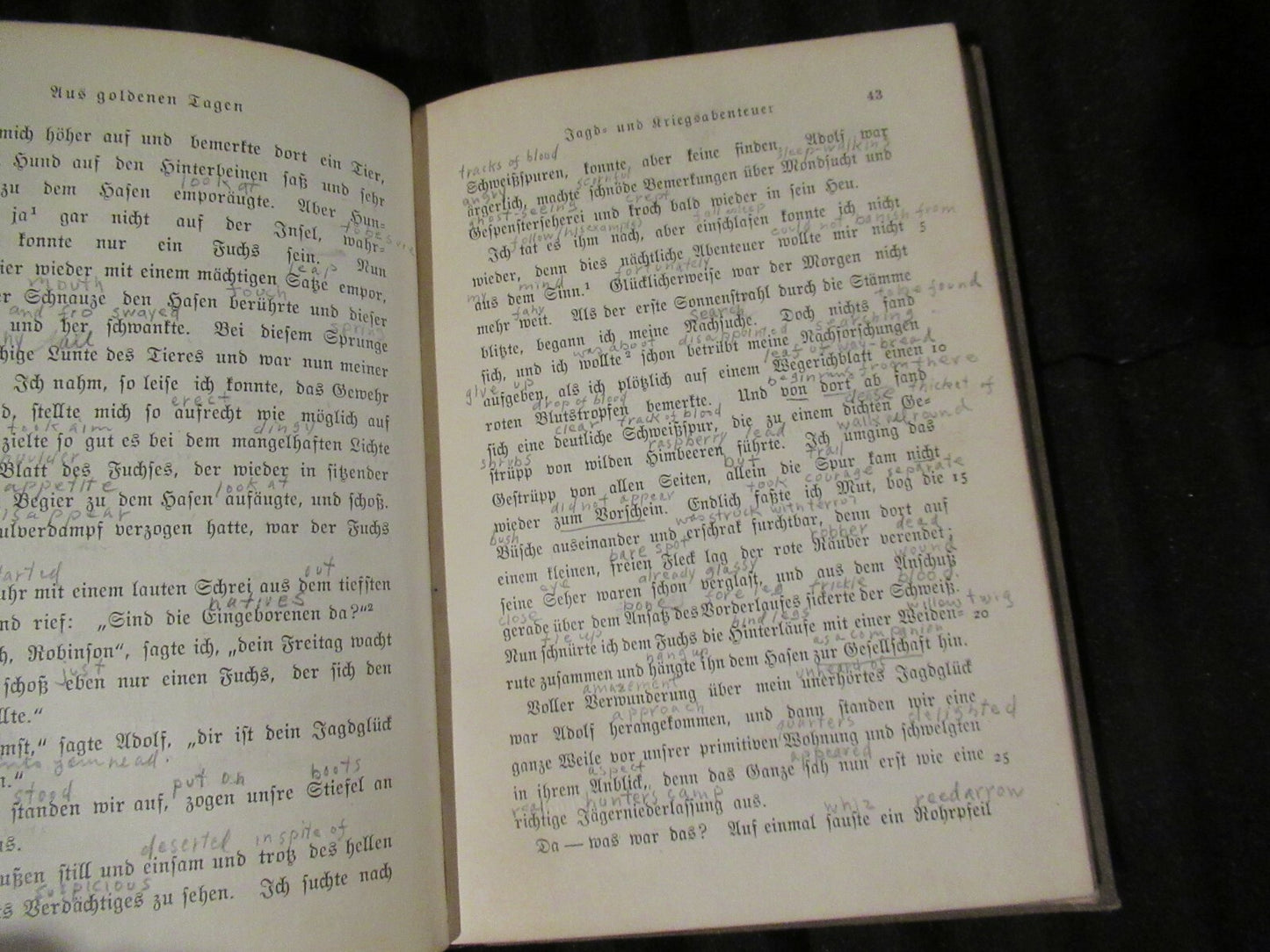 Seidel's AUS GOLDENEN TAGEN, W. Bernhardt (1906) HC DC Heath