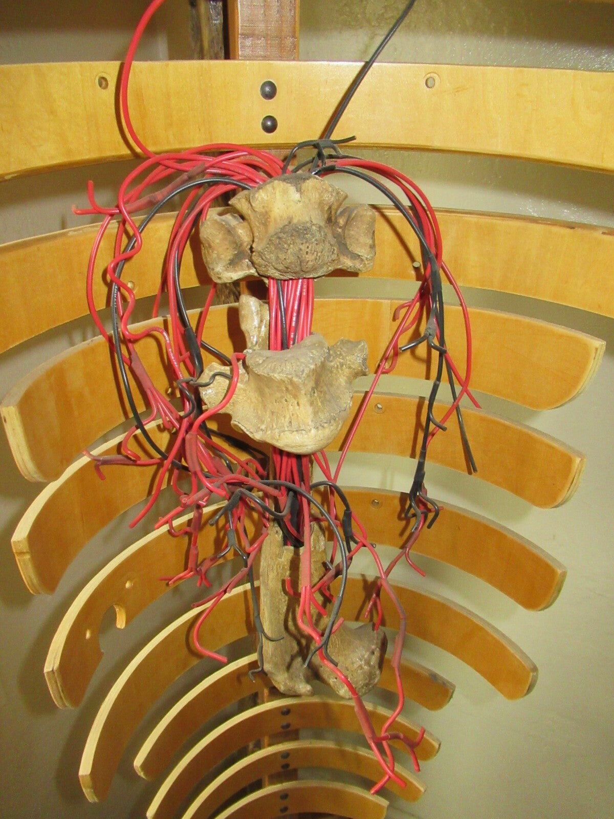 Sculpture The Darkened Catharsis Sculpture by C.R. Erskine hybrid wood bone 2018