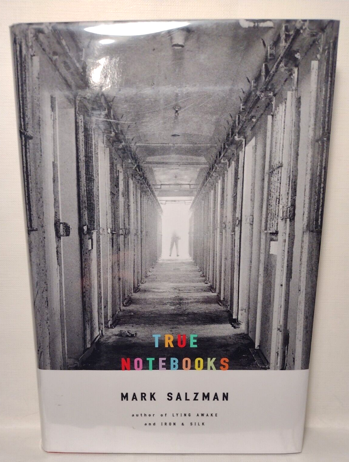 True Notebooks: A Writer's Year at Juvenile Hall by Mark Salzman -2003 1st Ed HC