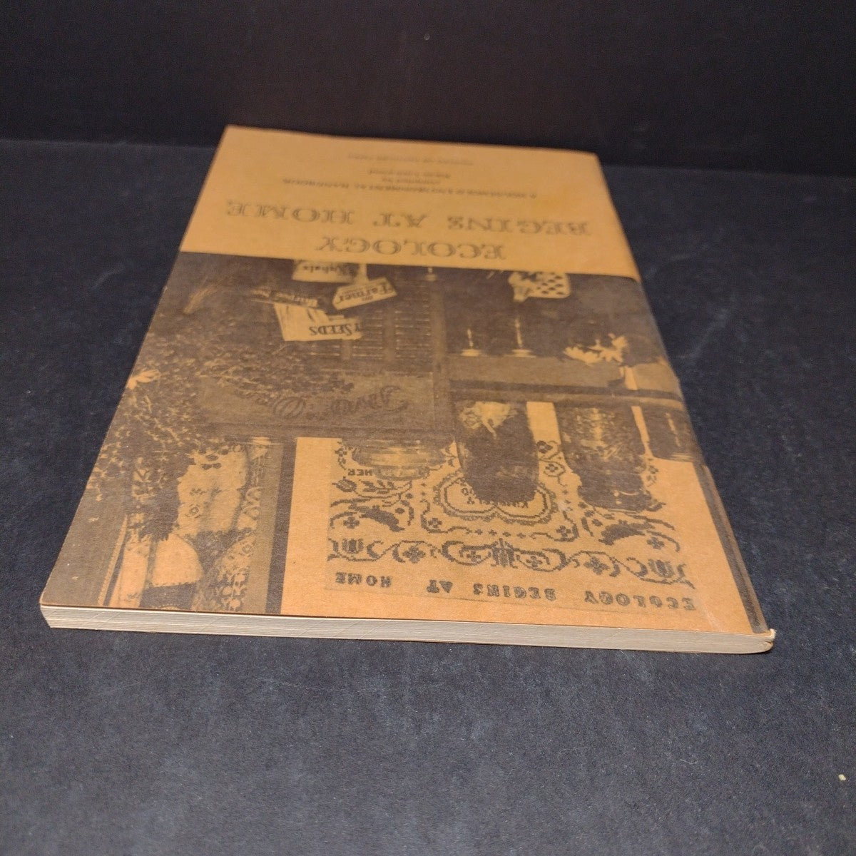 Ecology Begins At Home: A Household Environmental Handbook by Karen Lockwood