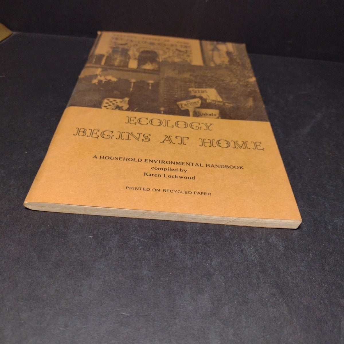 Ecology Begins At Home: A Household Environmental Handbook by Karen Lockwood