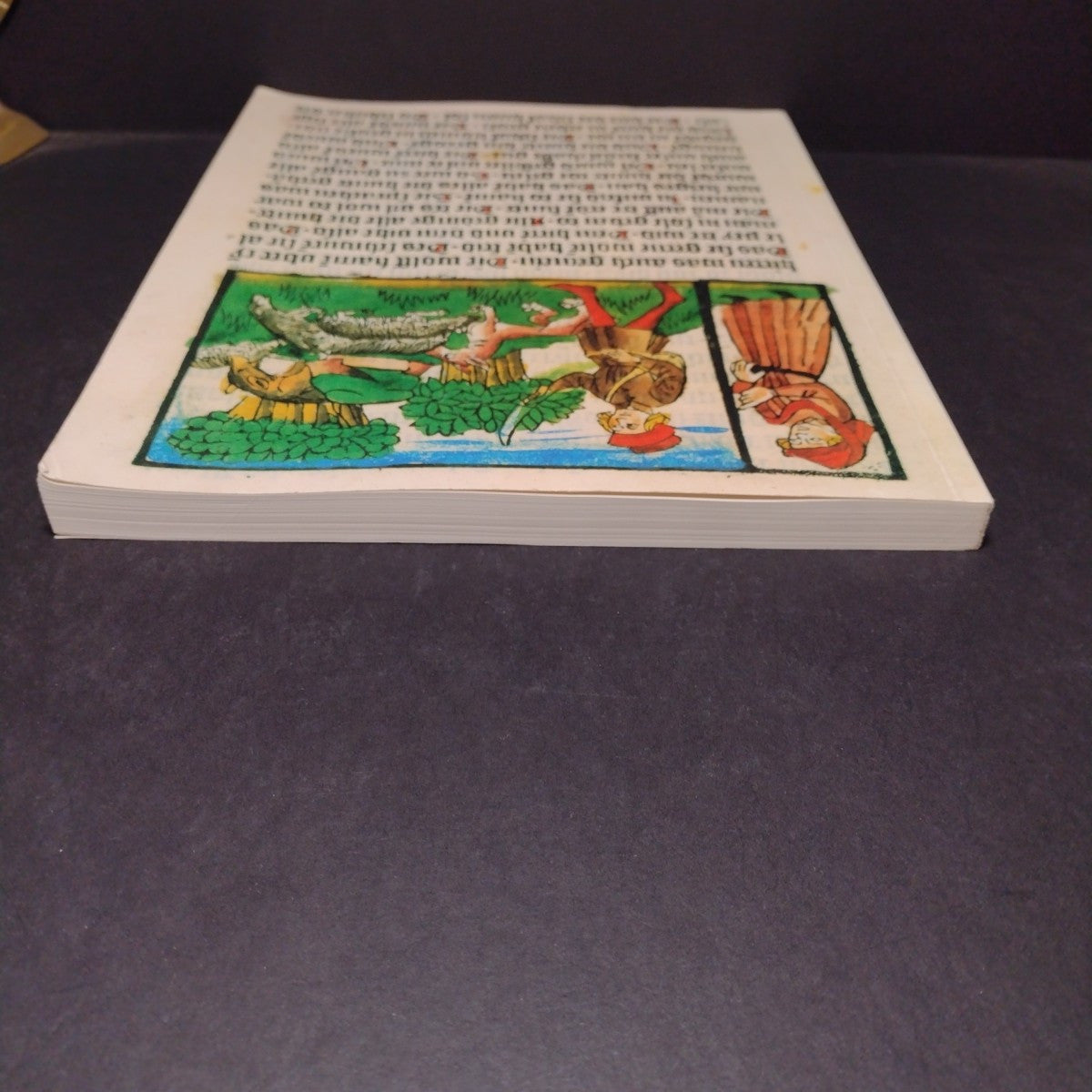 Fabula Docet: Illustrierte Fabelbucher Aus Sechs Jahrhunderten -German Paperback
