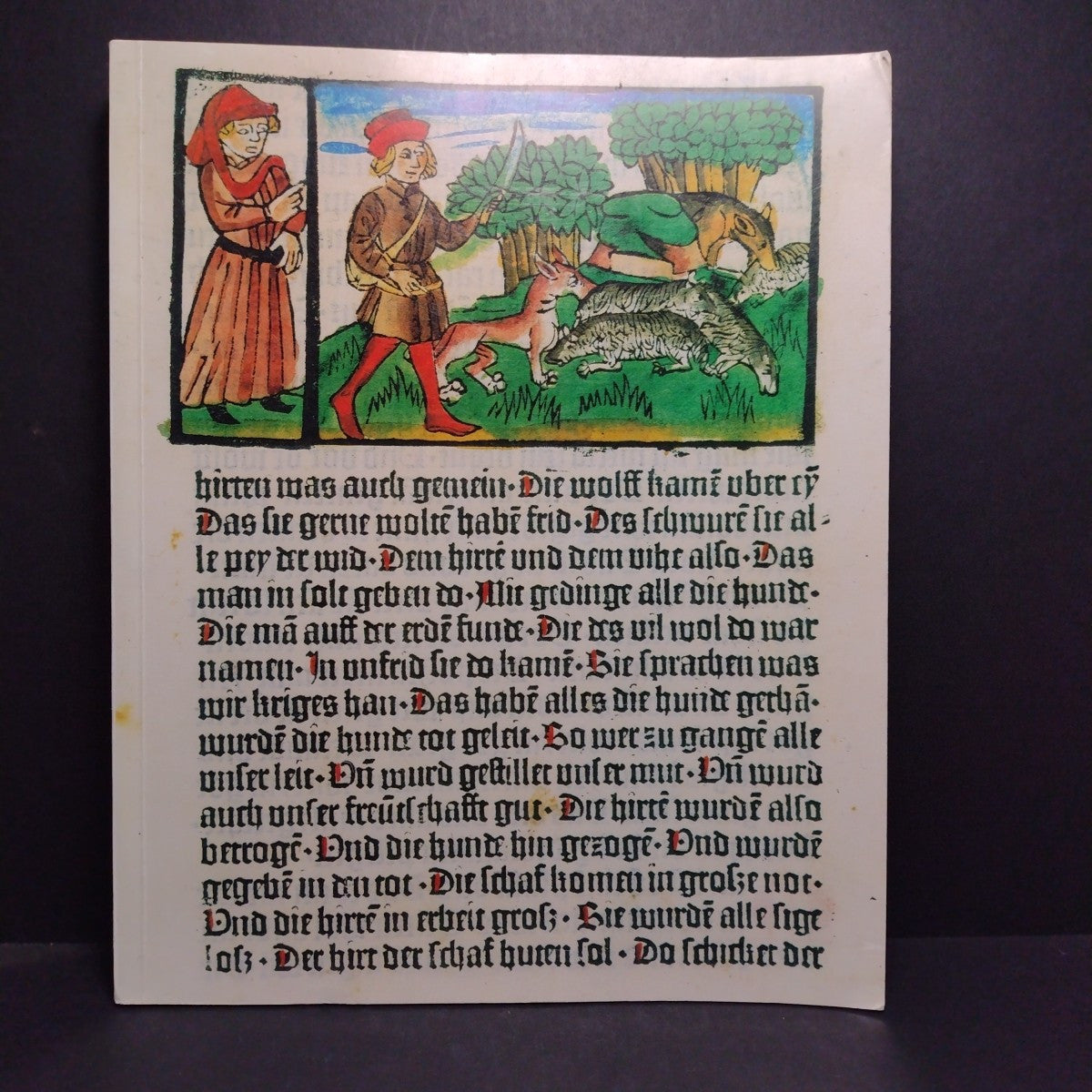 Fabula Docet: Illustrierte Fabelbucher Aus Sechs Jahrhunderten -German Paperback