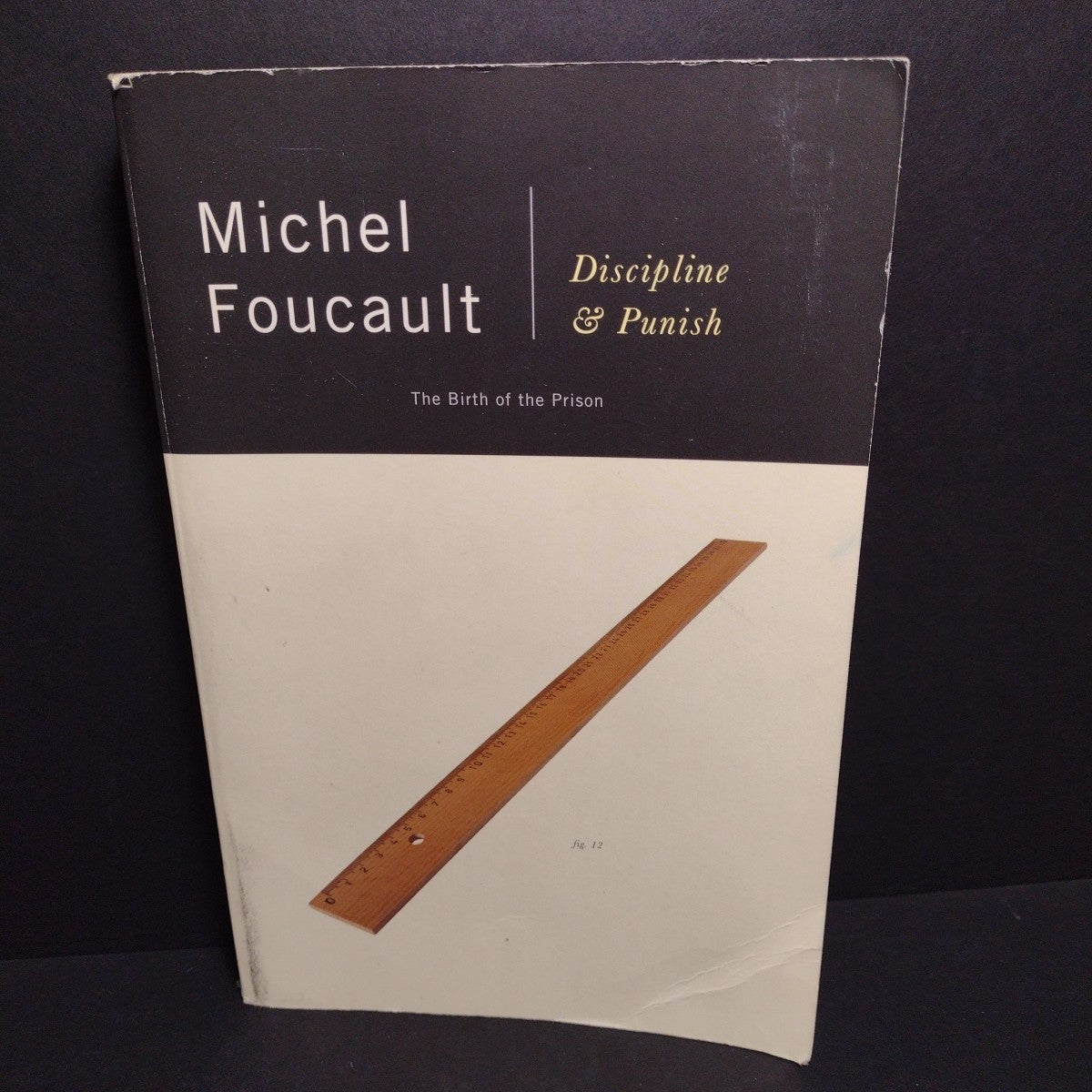 Discipline and Punish: The Birth of the Prison by Michel Foucault -1995 Trade PB