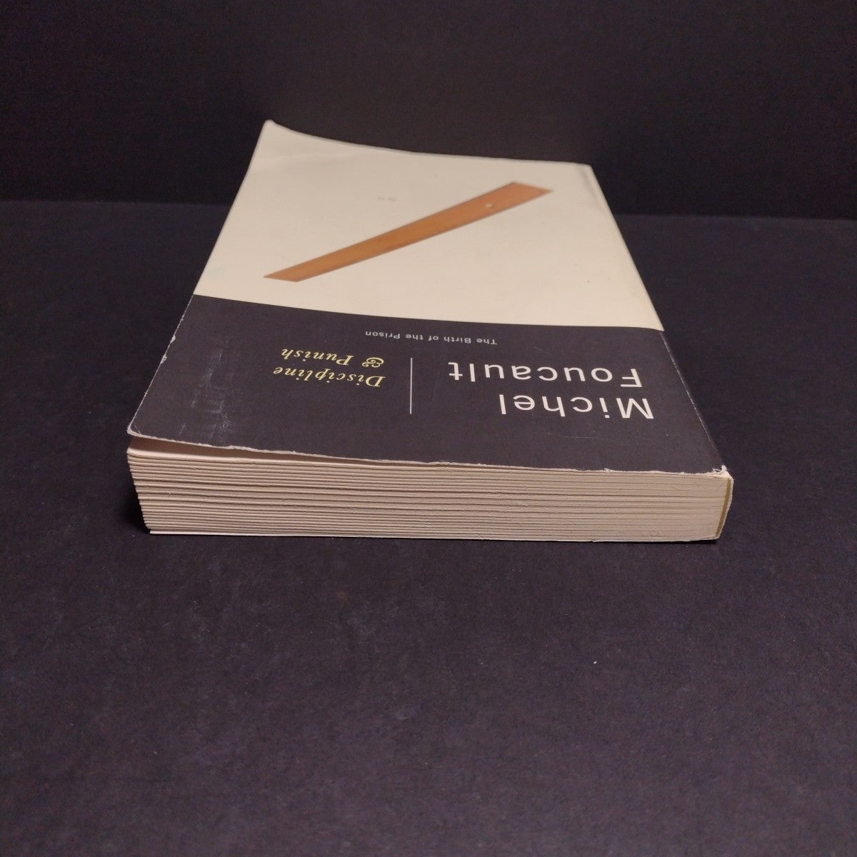 Discipline and Punish: The Birth of the Prison by Michel Foucault -1995 Trade PB