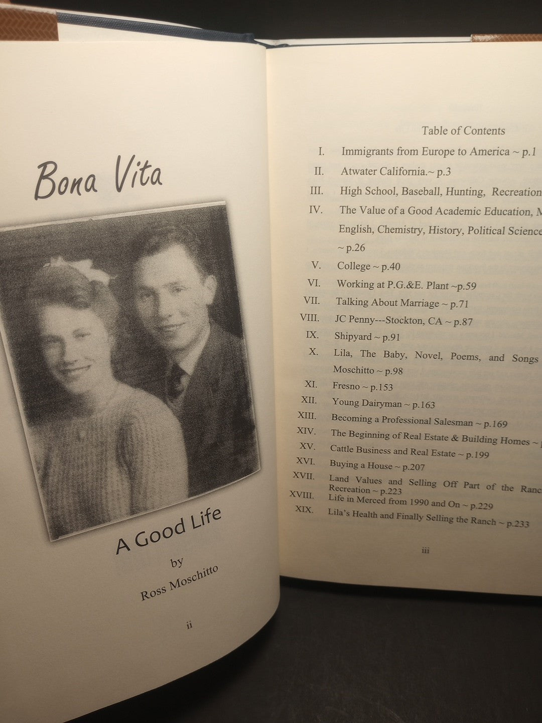 Bona Vita by Ross Moschitto 2008 signed HCwDJ Merced Ca Central Valley Memoirs