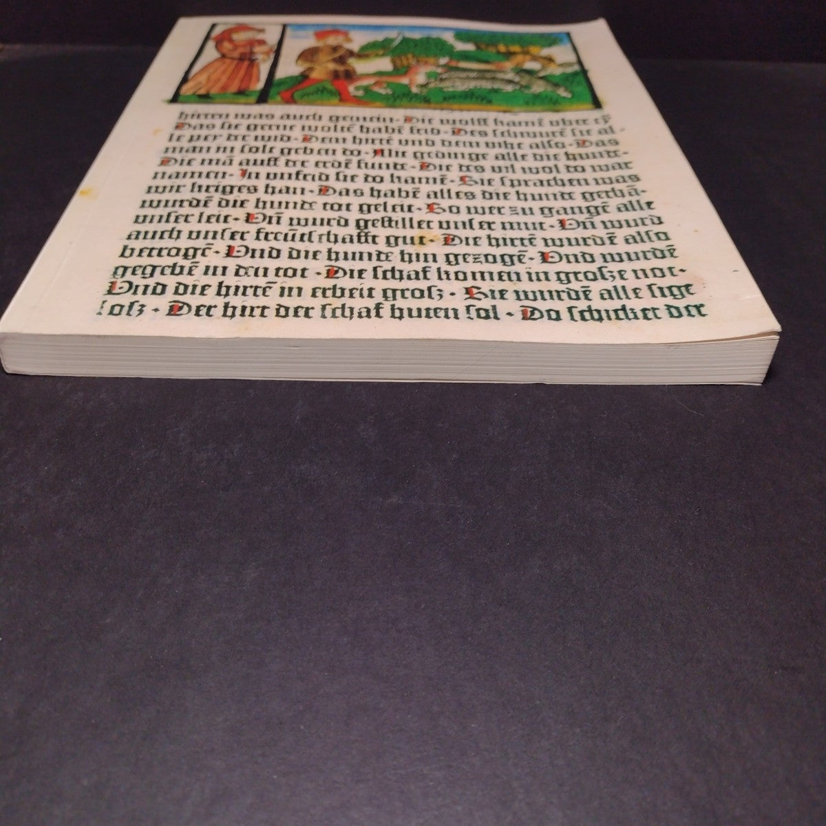 Fabula Docet: Illustrierte Fabelbucher Aus Sechs Jahrhunderten -German Paperback