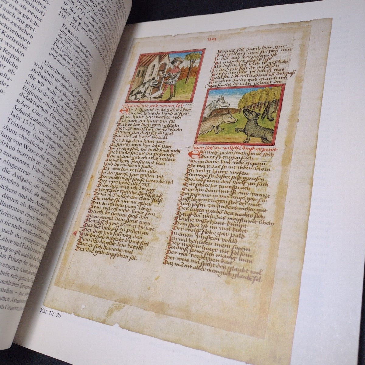 Fabula Docet: Illustrierte Fabelbucher Aus Sechs Jahrhunderten -German Paperback