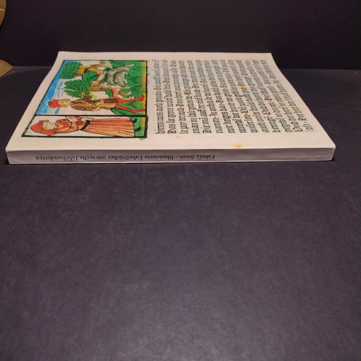 Fabula Docet: Illustrierte Fabelbucher Aus Sechs Jahrhunderten -German Paperback