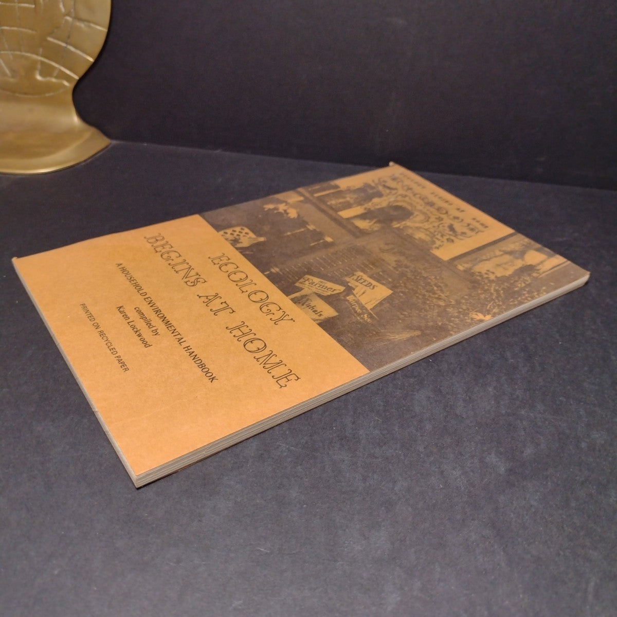 Ecology Begins At Home: A Household Environmental Handbook by Karen Lockwood
