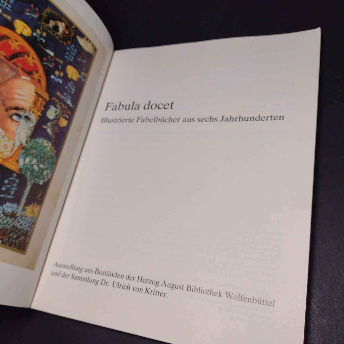 Fabula Docet: Illustrierte Fabelbucher Aus Sechs Jahrhunderten -German Paperback